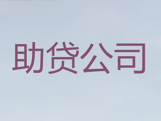 聊城抵押贷款公司-信用贷款